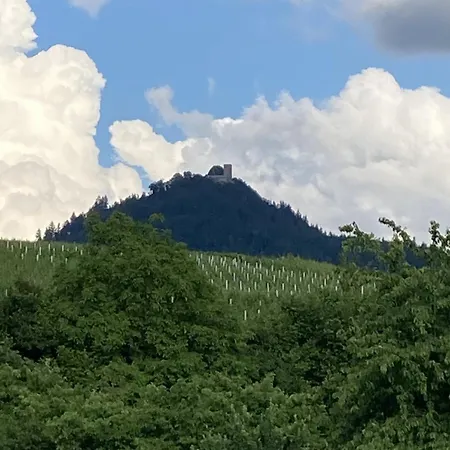 Reblandblick