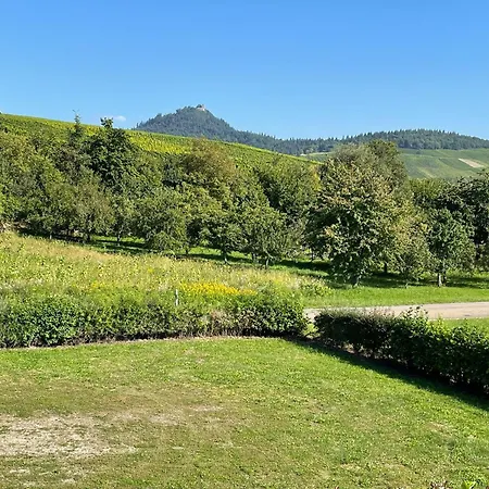 Lejlighed Reblandblick *